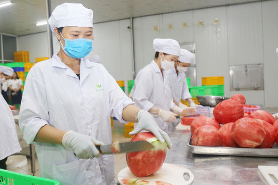 Kinh tế tư nhân - động lực quan trọng của Lâm Đồng