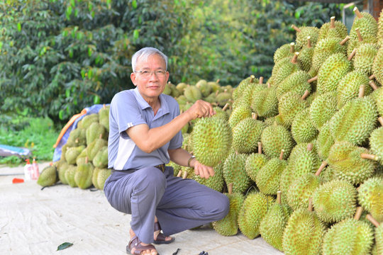 Triển vọng từ “siêu vùng” sầu riêng của cả nước
