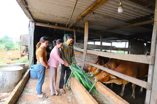 Sát cánh cùng phụ nữ biên giới đất liền vượt khó