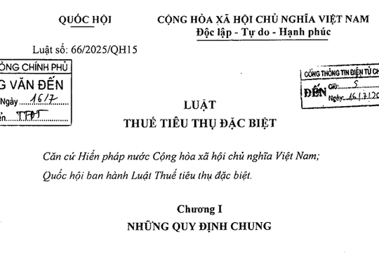 Đã có Luật Thuế tiêu thụ đặc biệt 2025 số 66/2025/QH15