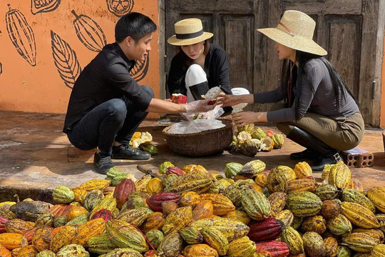 Lâm Đồng kết hợp nông nghiệp - du lịch