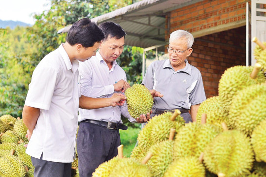 Thách thức trong kiểm soát chất lượng