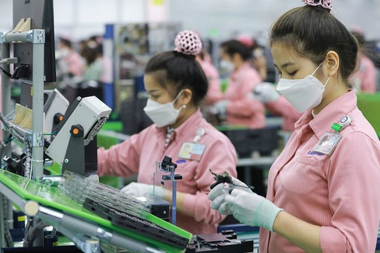 Chi nhánh có cần Giấy chứng nhận đăng ký đầu tư?