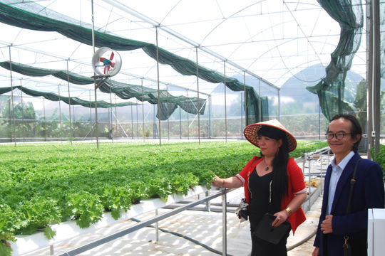 Để đạt chỉ tiêu tăng trưởng ngành nông nghiệp