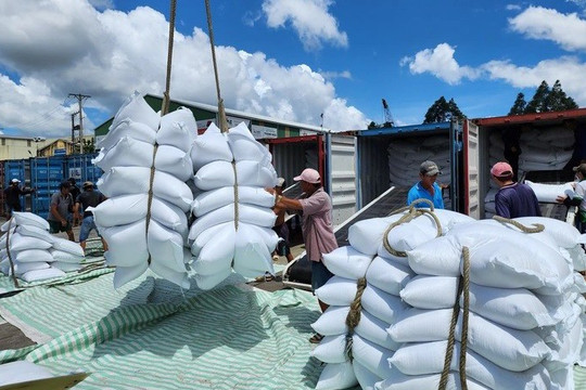 Bộ phản hồi kiến nghị về siết điều kiện xuất khẩu gạo