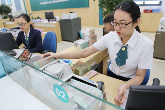 Kinh tế tư nhân Lâm Đồng làm gì để đáp ứng kỳ vọng mới?