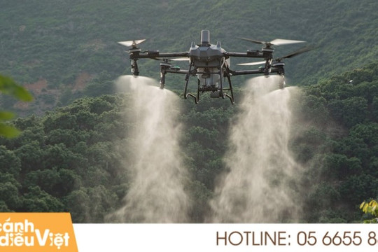 Drone nông nghiệp DJI Agras T70P: Giải pháp hiệu quả cho cây sầu riêng và cà phê