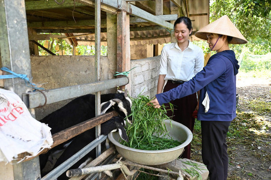 Hỗ trợ 100% mức đóng bảo hiểm y tế với hộ cận nghèo ở các xã nghèo