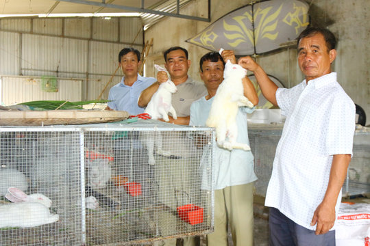 Đồng bào Tày, Nùng ra sức phát triển kinh tế
