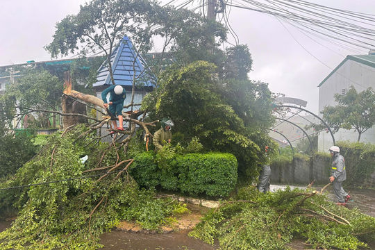 Lâm Đồng khẩn trương ứng phó với bão số 3