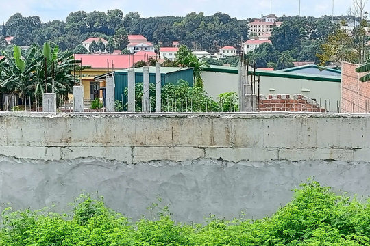 Tranh chấp dai dẳng do cho thuê đất trái thẩm quyền