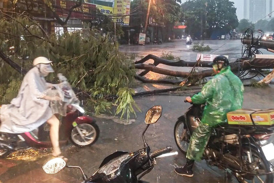 Mức độ nguy hiểm của bão số 3 Wipha khi duy trì gió mạnh cấp 10-11