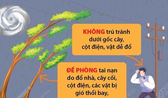Các biện pháp phòng tránh khi bão đổ bộ