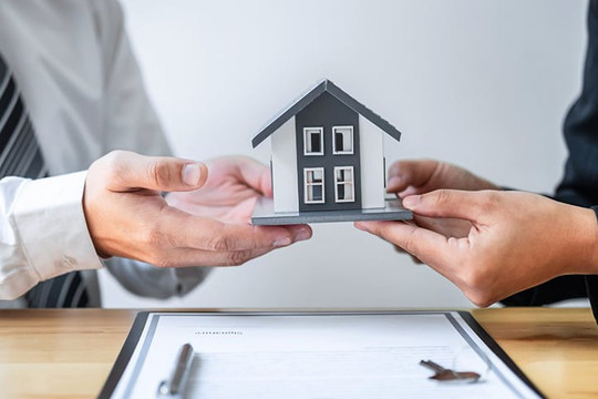 DN môi giới bất động sản phải làm thủ tục thông báo thông tin