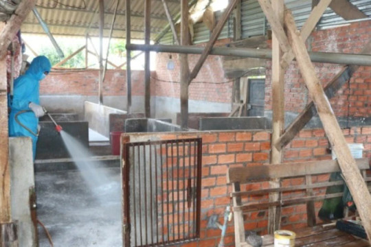 Phát hiện một ổ dịch cúm gia cầm A (H5N1) ở Đắk Lắk
