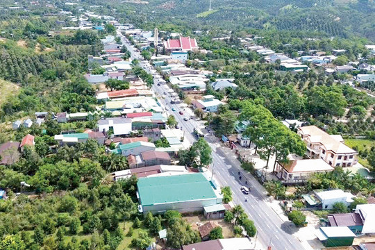 Đột phá phát triển vùng đất “thủ phủ” sầu riêng