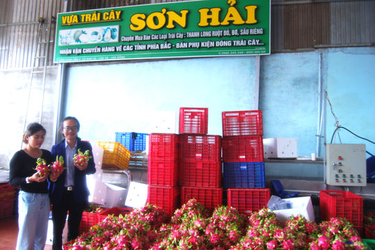 Hợp nhất thanh long từ biển xanh lên đại ngàn