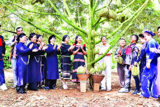 Phát triển bền vững ngành hàng sầu riêng