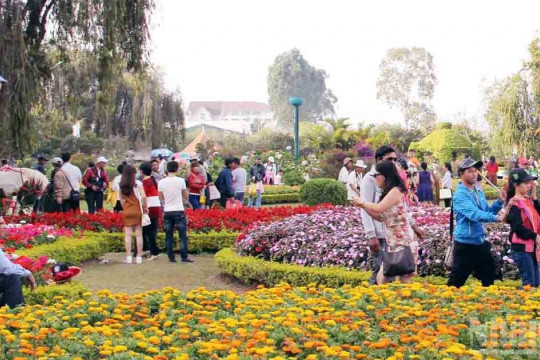 Lâm Đồng huy động mọi nguồn lực phát triển du lịch khu vực phường Lâm Viên-Đà Lạt