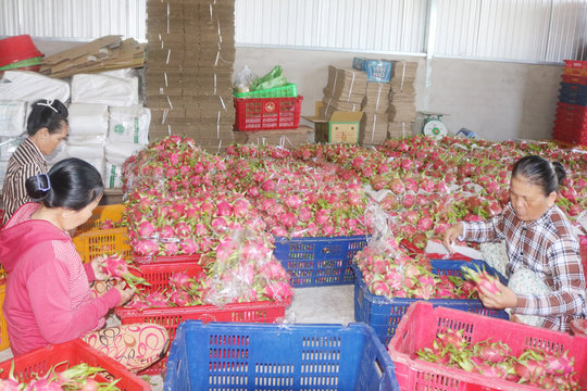 Phát huy nội lực, xây dựng Hàm Liêm phát triển toàn diện và bền vững