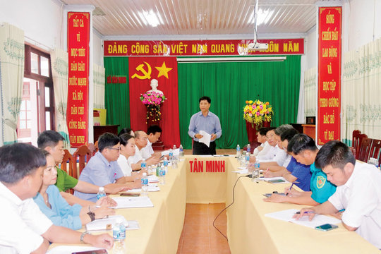 Tân Minh: Từ vươn mình đến thành quả