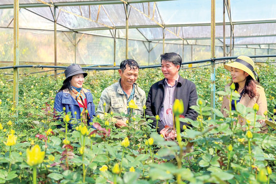 Xây dựng phường Lang Biang - Đà Lạt thành nơi đáng đến, xanh, thân thiện, giàu bản sắc