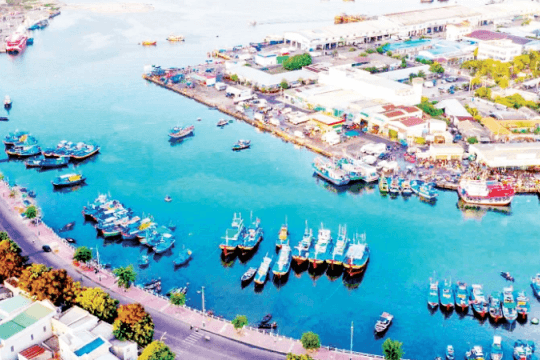 Lâm Đồng: Tiềm năng và cơ hội phát triển