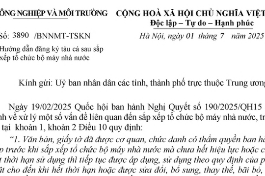 Công văn 3890: Hướng dẫn đăng ký tàu cá sau sắp xếp tổ chức bộ máy nhà nước