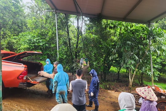 Lâm Đồng: Gấp rút triển khai công tác phòng, chống dịch tả lợn Châu Phi