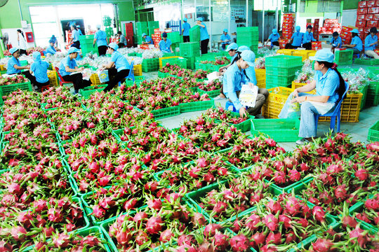 Kế thừa và phát huy thế mạnh trong không gian mới