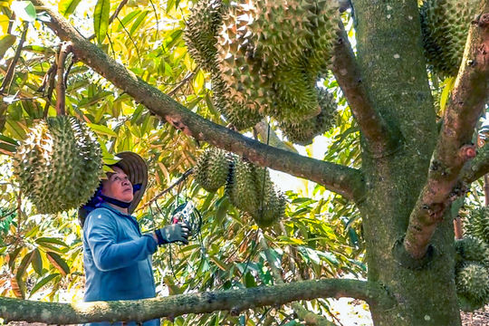 Vùng đất chiều lòng người