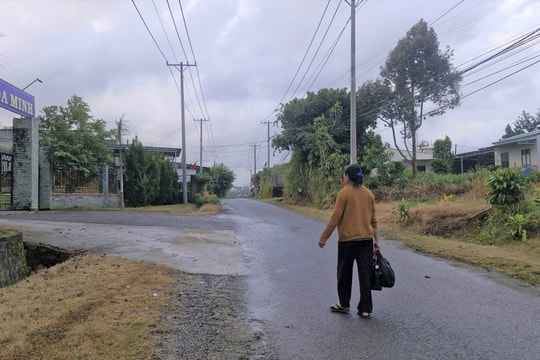 Lâm Đồng: Điều tra làm rõ vụ án mạng xảy ra tại Phường 3 Bảo Lộc