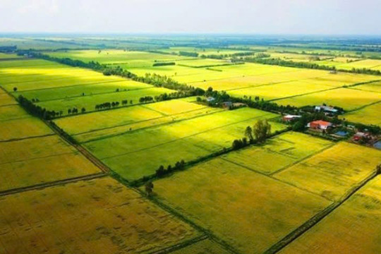 Các điều khoản điểm Luật Đất đai 2024 bị bãi bỏ (dự kiến)