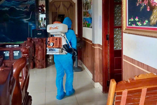 Các phường Đà Lạt tăng cường phòng, chống bệnh sốt xuất huyết