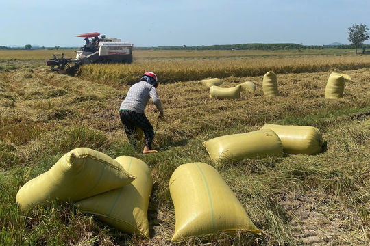 Chuyển động phù hợp ở Bắc Ruộng