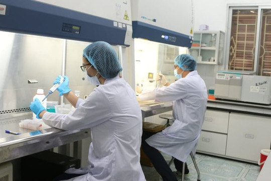 Thủ tục kiểm dịch đối với cá sấu xuất khẩu
