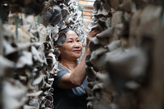 Gắn kết nông nghiệp, công nghiệp, thương mại ở Đức Trọng