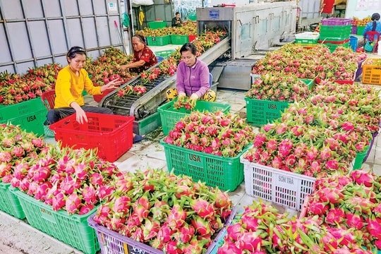 Quan tâm xây dựng khối đoàn kết, thống nhất trong toàn Đảng bộ