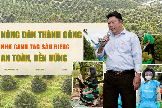 Nông dân gặt hái thành công nhờ canh tác sầu riêng theo hướng an toàn, bền vững