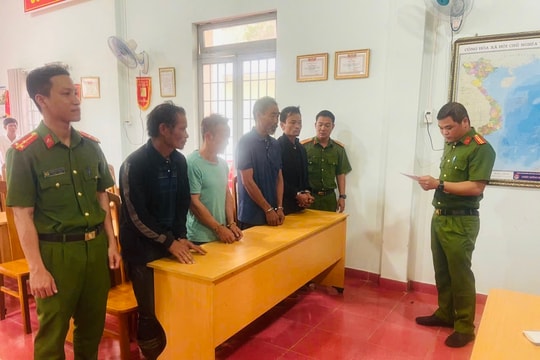 Triệt phá vụ khai thác gỗ thông trái phép quy mô lớn