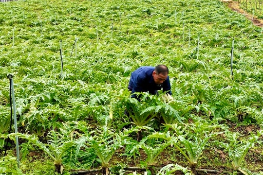 Xã lớn nhất tỉnh Lâm Đồng đưa nghị quyết đại hội Đảng vào cuộc sống