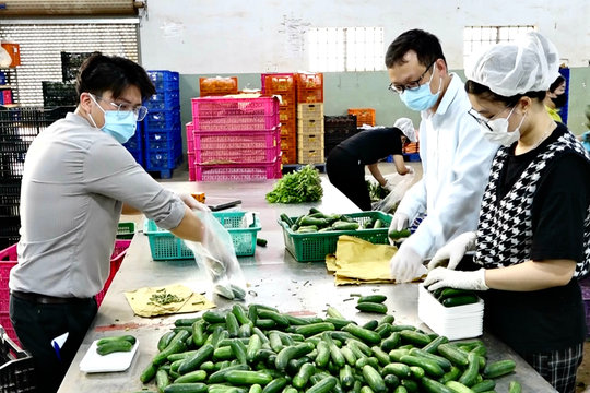 Lâm Đồng bảo đảm nguồn cung ứng nông sản an toàn ra thị trường