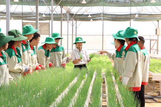Nâng tầm lao động, đáp ứng nhiệm vụ phát triển