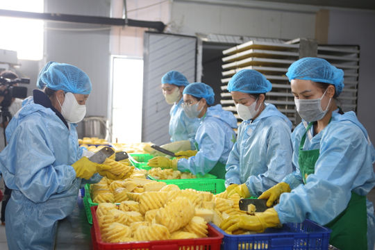 Nông sản và bài toán an toàn vệ sinh thực phẩm