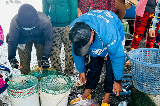 Ngư dân Lâm Đồng tấp nập đón "lộc biển" mùa gió Nam