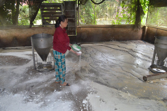 Lý giải nguyên nhân lây lan dịch tả lợn châu Phi