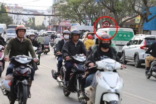 Phường Xuân Hương - Đà Lạt (Lâm Đồng): Phương tiện bị phạt nguội tăng cao do biển báo bị che khuất