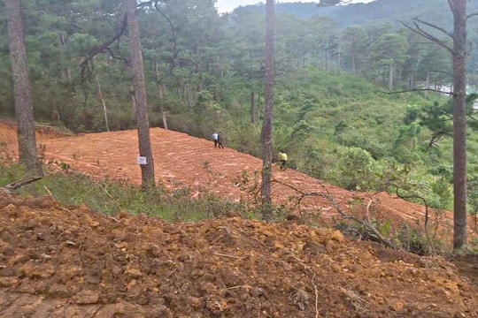 Chủ tịch UBND tỉnh Lâm Đồng yêu cầu làm rõ vụ cán bộ bảo vệ rừng bị đe dọa