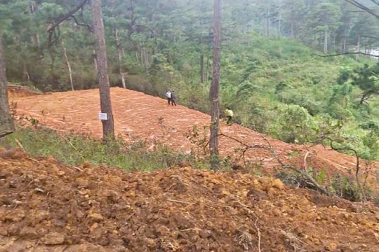 Lâm Đồng: Đề nghị Công an điều tra, làm rõ vụ cán bộ quản lý, bảo vệ rừng bị đe dọa