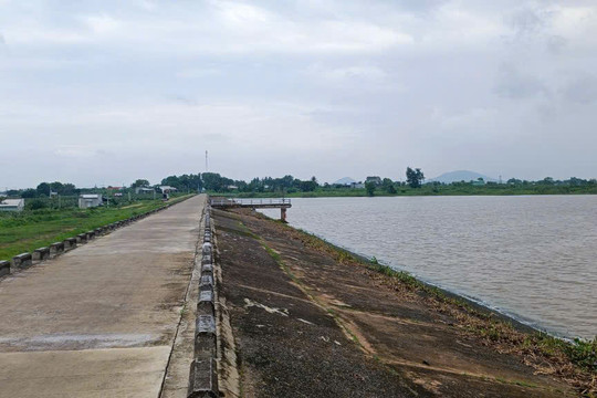 Lâm Đồng: Xử lý dứt điểm hành vi vi phạm hành lang công trình thủy lợi